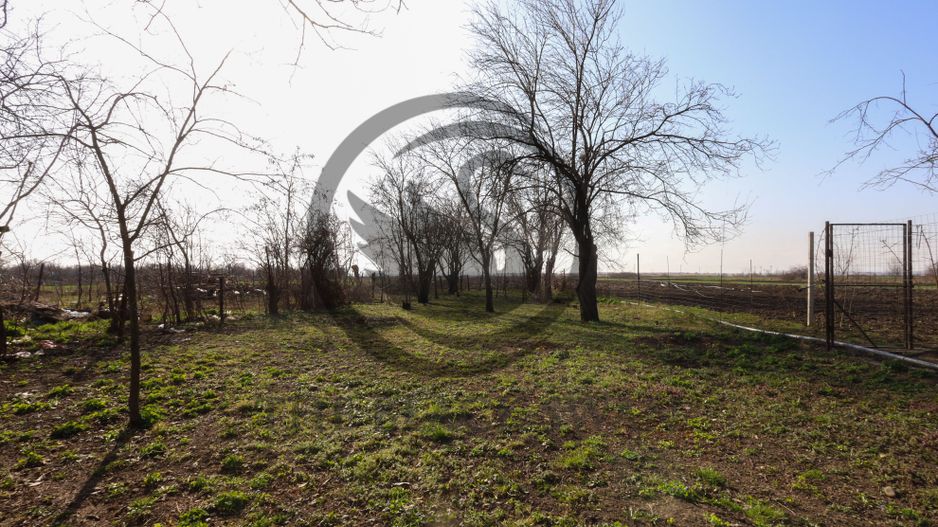 Casa de vanzare | Teren 904 mp | Zalhanaua, Prahova | Comision 0% - Poză 18