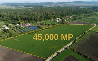 TEREN 45.000 MP | PUZ APROBAT | 156 M FRONT DN11 | PREJMER - BRASOV - Poză 7