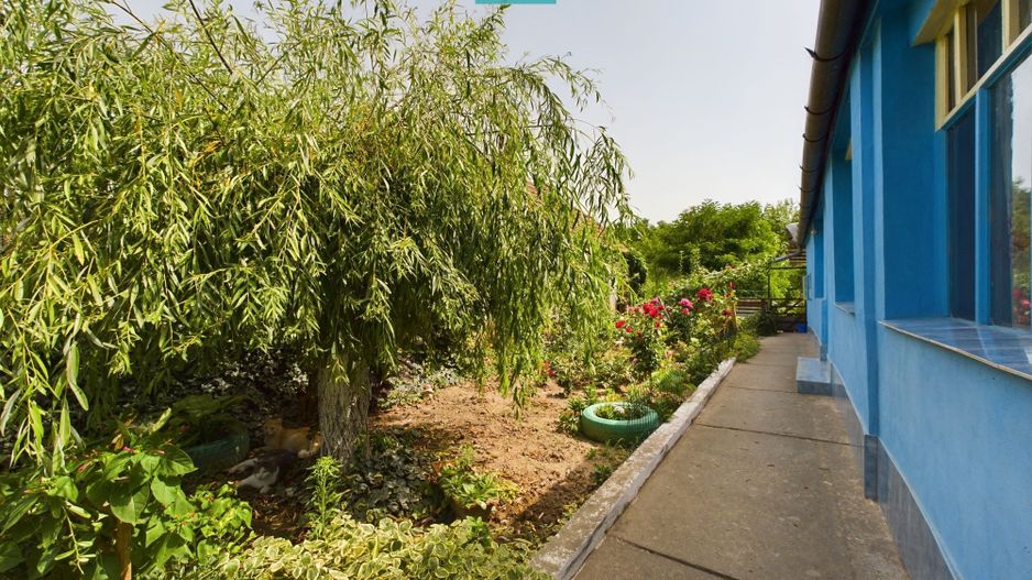 Casă cu 3 camere în Periam Port județ Timiș - Poză 21