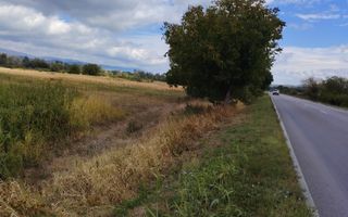 TEREN EXTRAVILAN\ 3678 MP\ OBREJA  JUD. CARAȘ- SEVERIN - Poză 4