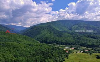 AZURA Imobiliare Pitesti - Casă de vacanță, Nucșoara! - Poză 17