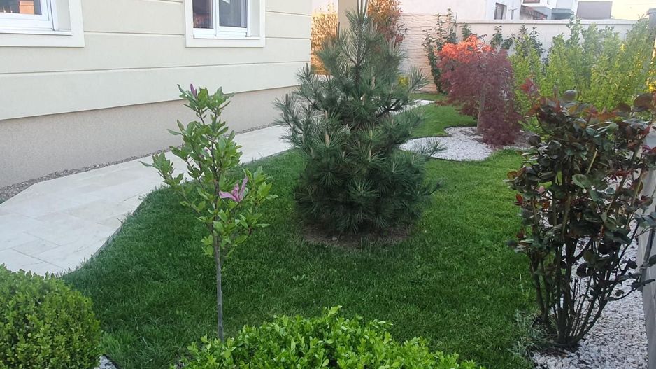 Casa individuala pe plan parter in Sanandrei - Poză 13