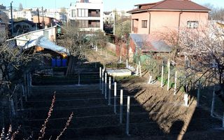 Casa P+1 + teren - posibilitate dezvoltare imobiliara I Drumul Taberei - Poză 4