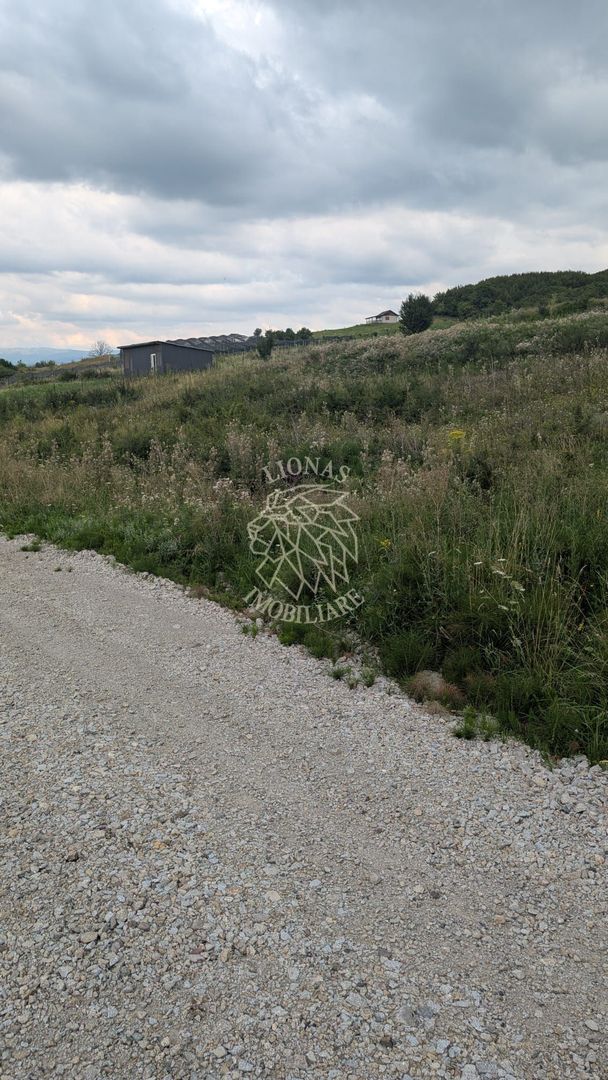 Teren 1000 mp cu utilitati-ideal casa, cabana, investitie-Dealul Jelnei - Poză 4