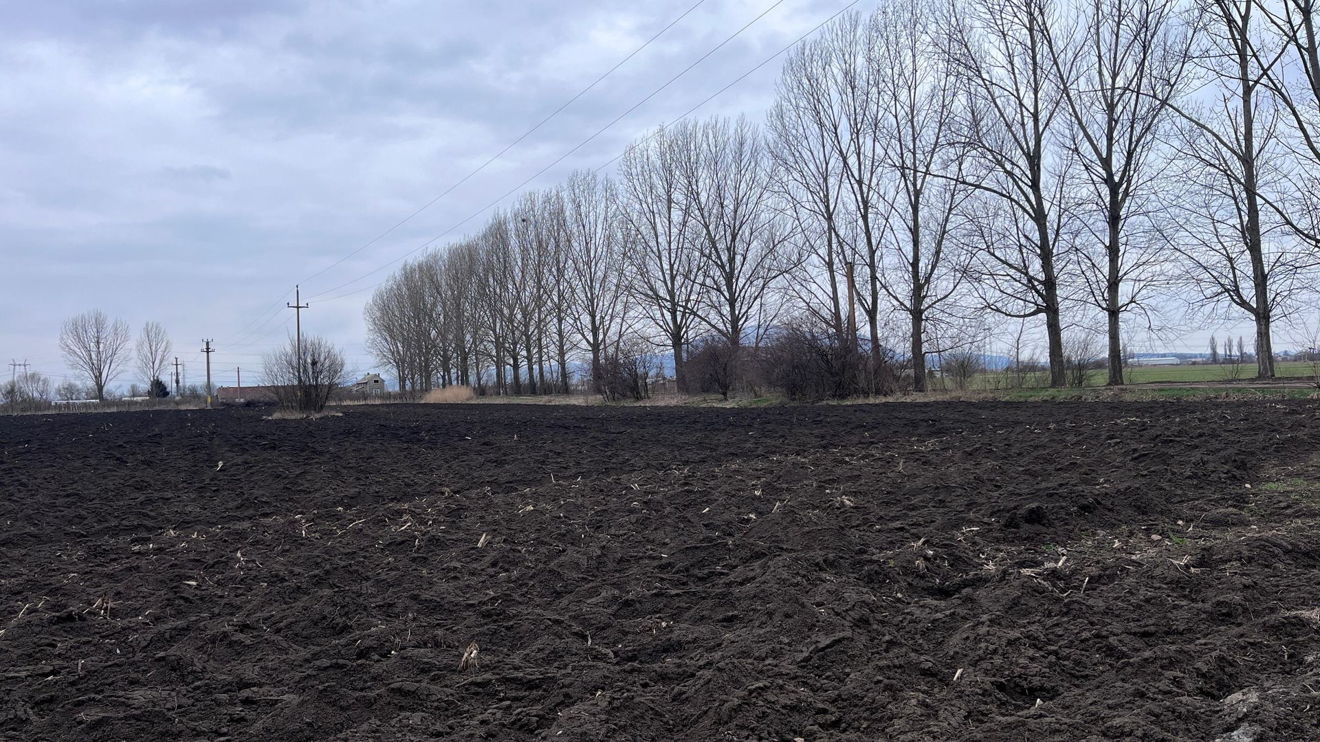 Teren 50000mp Extravilan-Intrare Halchiu-Cod 5235 - Poză 4