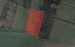 COMISION 0% - Teren extravilan 2.900mp - cadastrat - Gadalin / Jucu - Poză 4