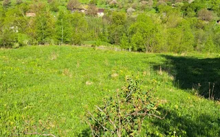 Teren extravilan de vanzare, Bistrita Bargaului- 10 minute de Colibita - Poză 14