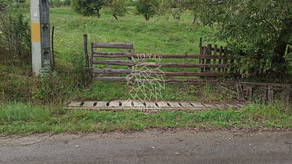 Teren intravilan 12600 mp-utilitati-ideal case, investitie-Livezile - Poză 4