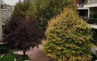 Dorobanti | Washington Residence | 5 camere | 2 locuri de parcare - Poză 15