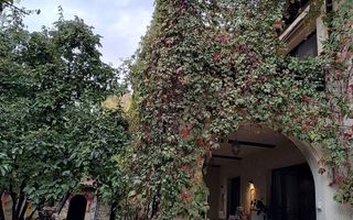 Vila mediteraneană cu farmec neo-românesc, în liniștea eleganta din Iancu Nicola - Poză 3