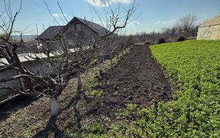 Teren de vânzare cu seră și vie în com. Belcești, jud. Iași - Poză 1