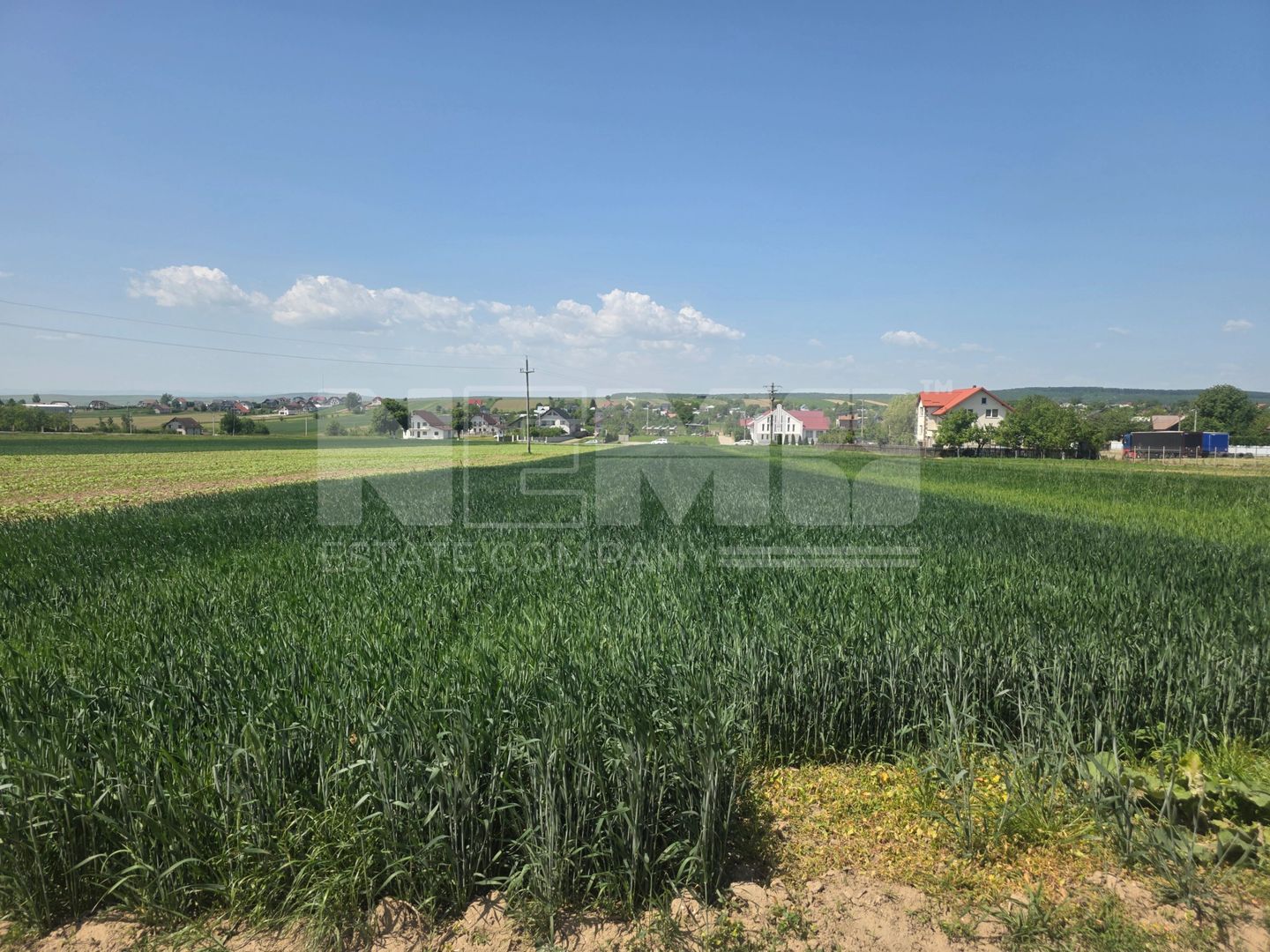 TEREN EXTRAVILAN | MITOCU DRAGOMIRNEI | 2.600 Mp - Poză 7