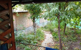 Casă 5 camere, 137 mp utili, 960 mp teren, 10 km de Onești - Poză 10