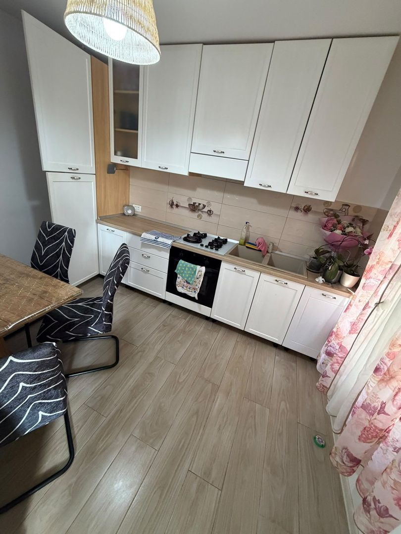 Sanandrei Casa Individuala Mobilata si Utilata, Panouri+Baterii - Poză 5