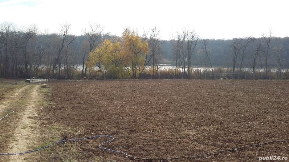 Teren intravilan | Langa lac si padure | Ciolpani - Poză 2