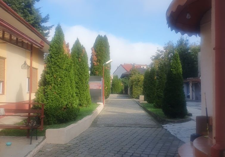 Vând 2 case cu aceasi intrare, Locația Satu Mare - Poză 2