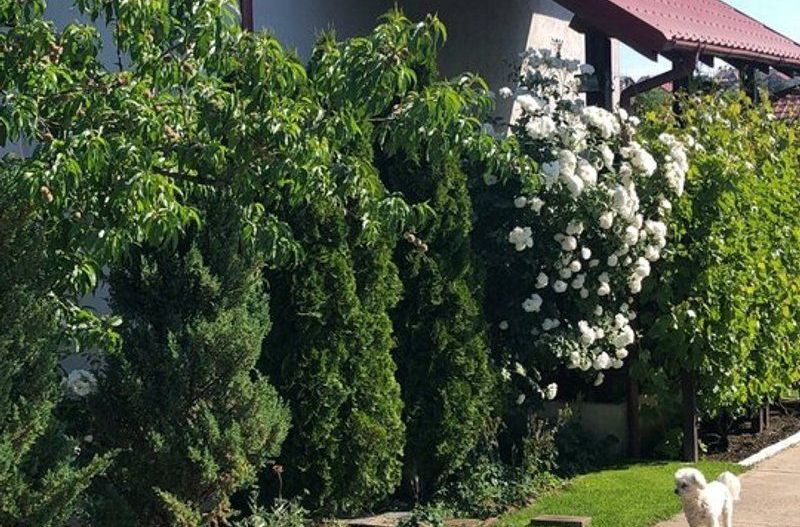 Vila - parter + mansarda -   Sendreni,  jud. Galati - Poză 2