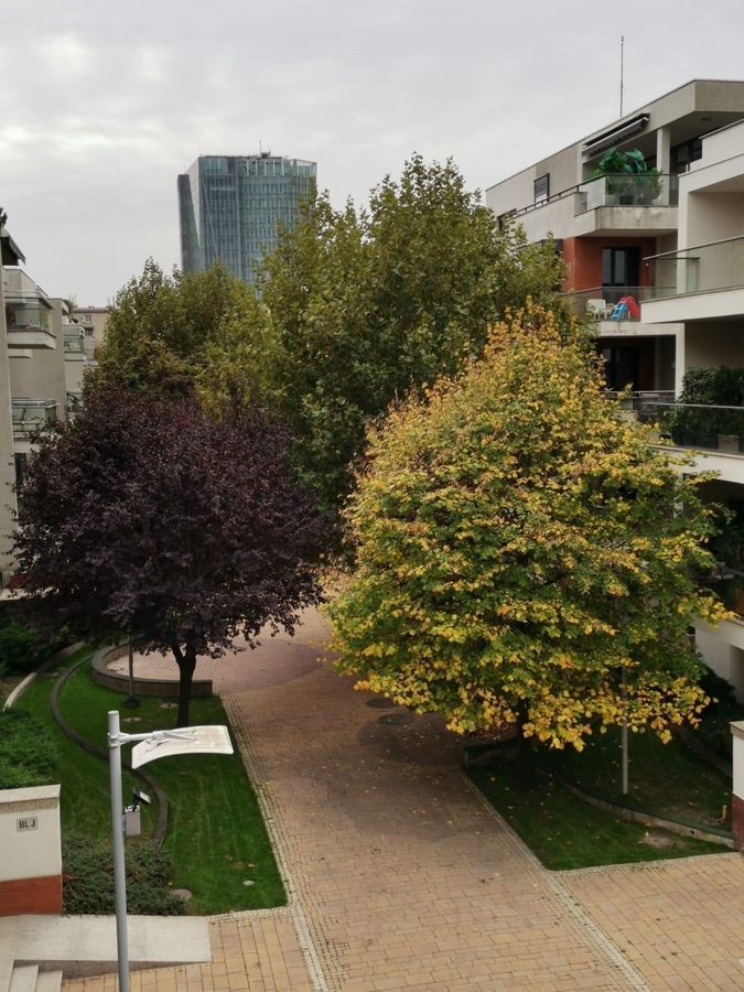 Dorobanti | Washington Residence | 5 camere | 2 locuri de parcare - Poză 15