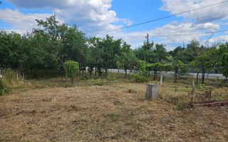 Casa cu teren generos | Spinus | Bihor - Poză 9