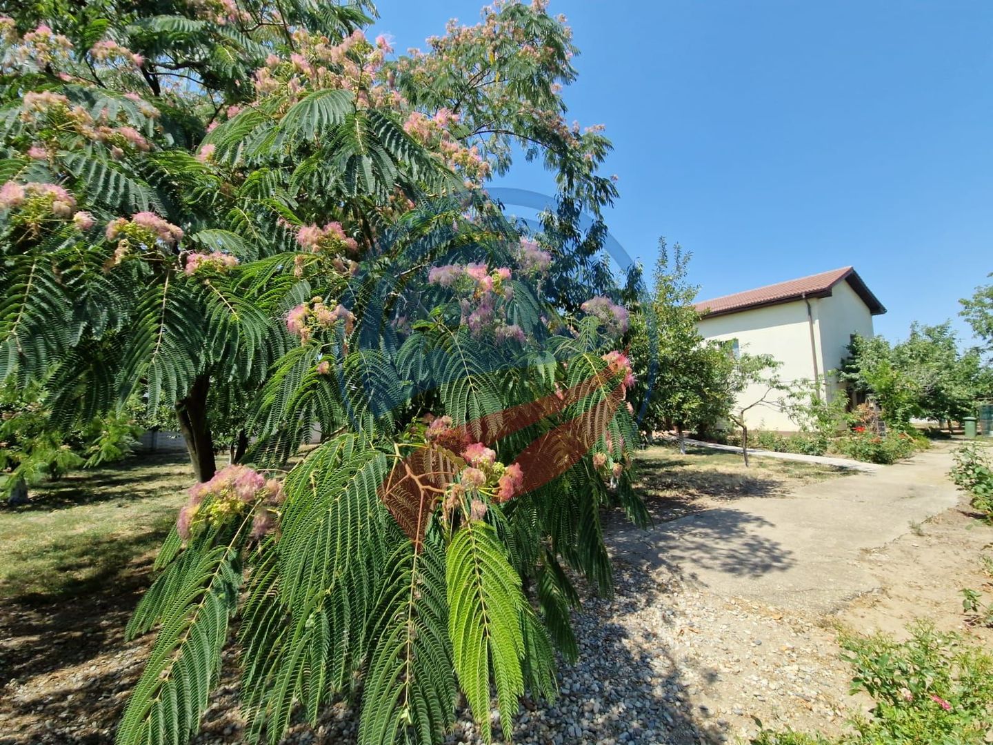 CASA P +E  5 camere -Cosoveni - Poză 17