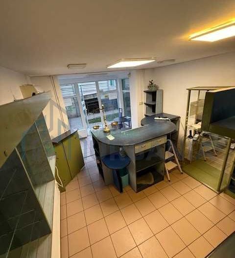 Spatiu comercial Podu ros/Nicolina - Poză 4