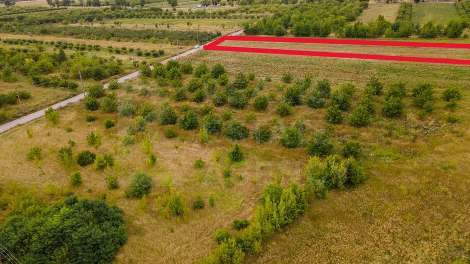 Vânzare, teren, 50 ari, str. Tineretului, Trușeni - Poză 4