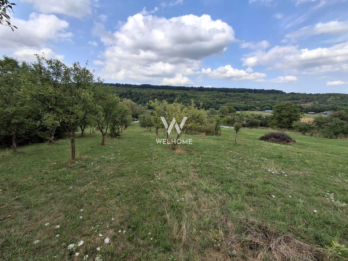 De vânzare teren extravilan în Sibiel, jud. Sibiu – 3223 mp - Poză 11