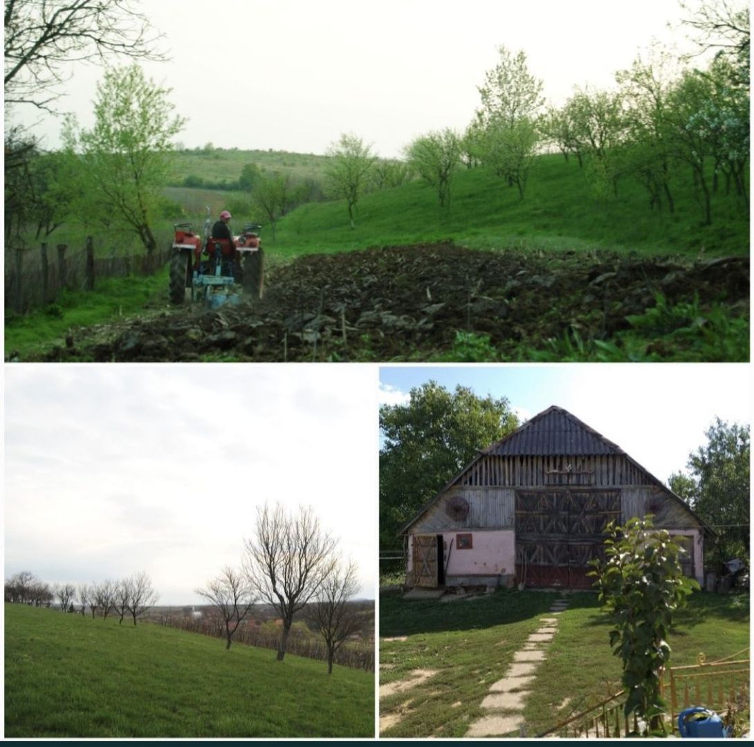 Vand casa in Loc. Medisa - Poză 3