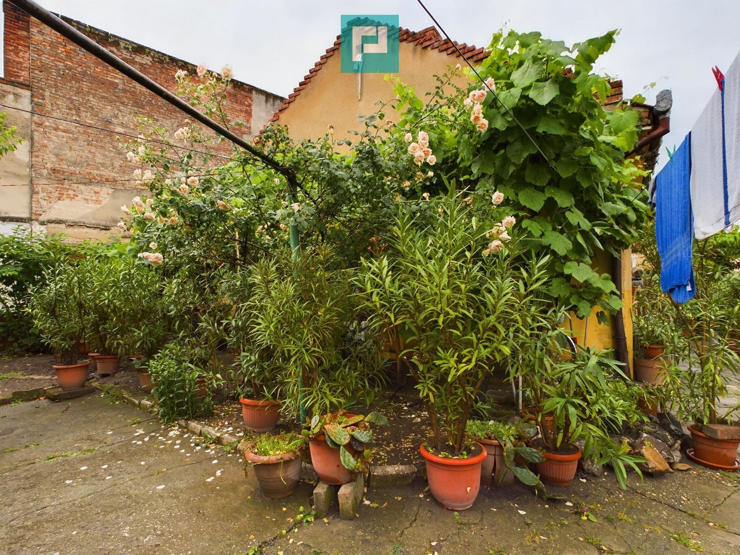 Apartament la casă cu 4 camere în Pârneava - Poză 19