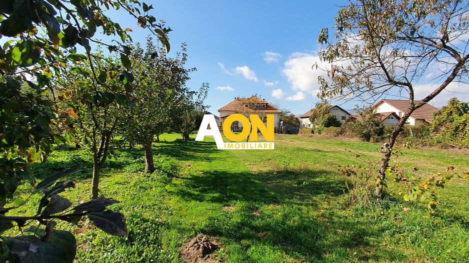 Casa cu 4 camere, la asfalt, 6200 mp teren, sat Sard, com. Ighiu - Poză 4