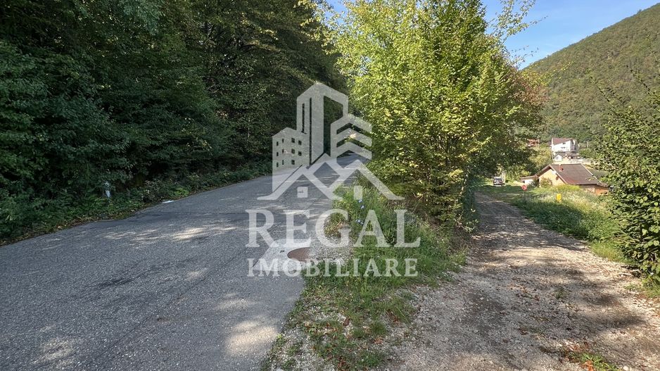 Teren extravilan de vânzare – Lacul Cinciș - Poză 2