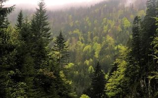 Pensiune Turistica 360MPU | Porumbacu de Sus | - Poză 22