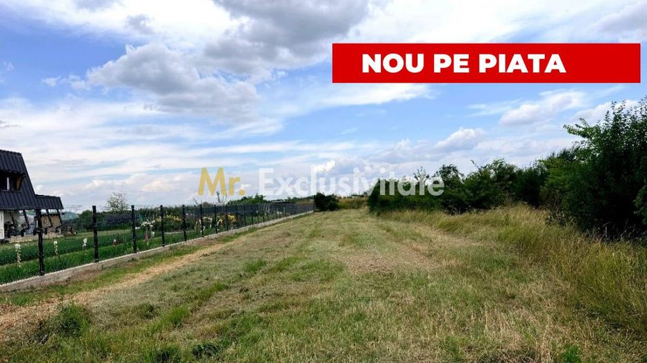 Teren de vanzare in Comuna Bradu – 1.374 mp | Deschidere 13,97 ml | 0% - Poză 4