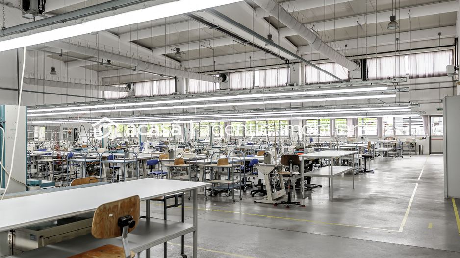 Oportunitate: Hală de producție și depozitare cu birouri în Arad - Poză 12