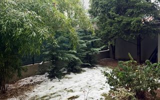 Vila Premium - 6 camere - Pipera - Poză 21