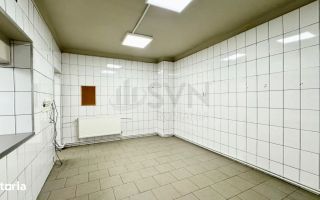 Spatiu pentru activitati comerciale I Laborator - Spatiu productie - Poză 6