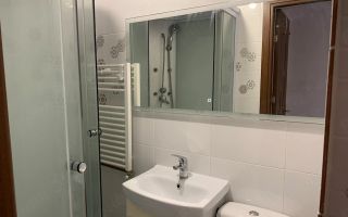 Apartament 1 camera de inchiriat, Iasi - Poză 7