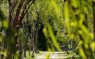 apartament 2 camera lakefield B3 - Poză 5