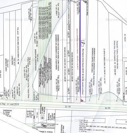 MOARA VLASIEI, langa nodul Autostrazii A3, 10200 mp. teren cu pozitie stradala - Poză 5
