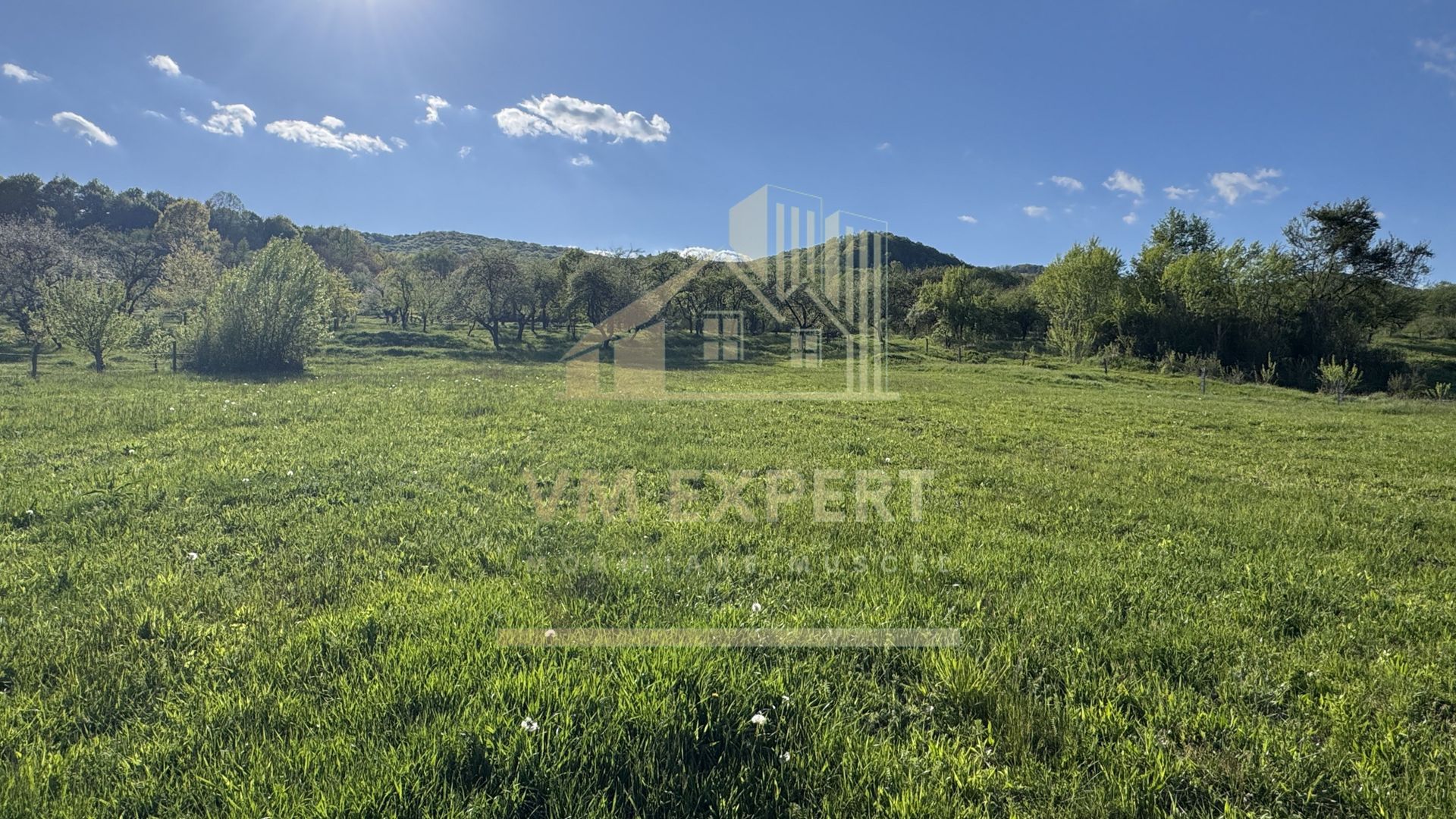 TEREN 4568 MP MIHĂEȘTI ARGEȘ - Poză 3