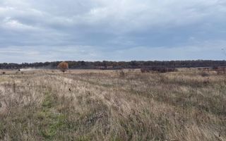 Teren intravilan cu dublu front stradal între Cihei și Cordau - Poză 5