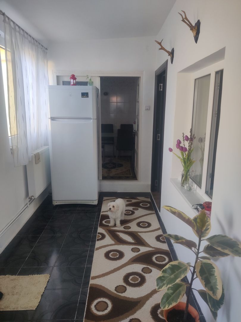 CASA CU TEREN 838 MP ZONA STEAUA - Poză 6