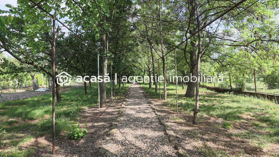 Vilă 5 camere Grădiște | 2 corpuri | 0% comision. Preț negociabil! - Poză 5