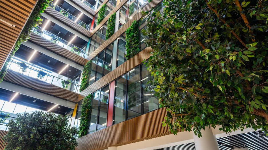 Chirie, oficiu premium, 710 mp, strada 31 August 1989, Centru - Poză 36