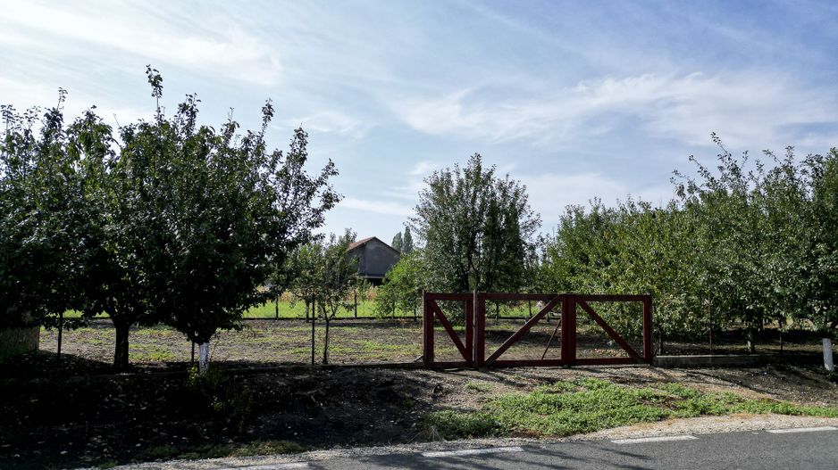 Teren intravilan localitatea Iratoșu - Poză 6