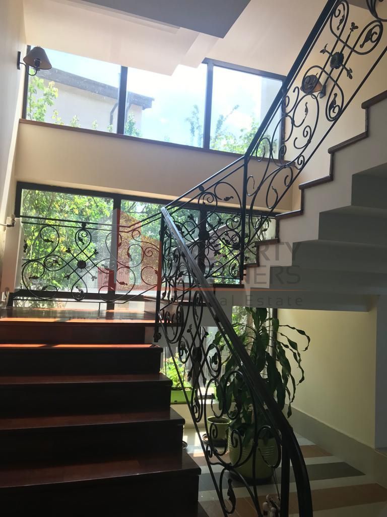 Vila superba langa padure in Pipera, Iancu Nicolae - Poză 9