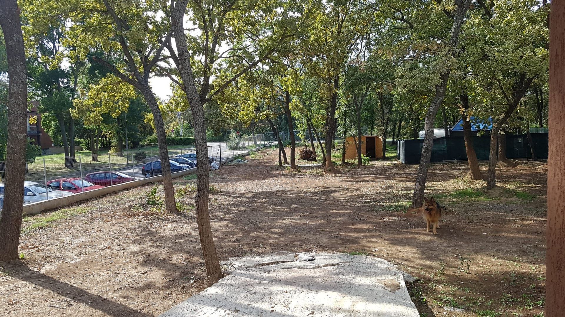 Teren Generos/ Locatie Premium - Poză 1