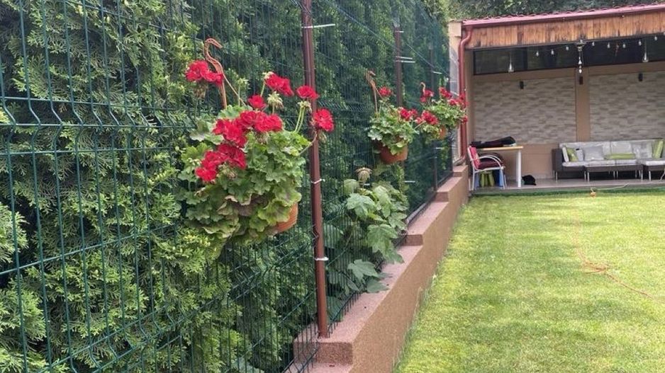 Casa de Vanzare - Poză 3