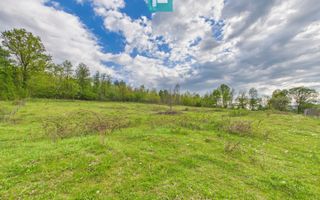 Casă cu teren de 17.681 mp, în loc. Hălmăgel, Arad - Poză 28