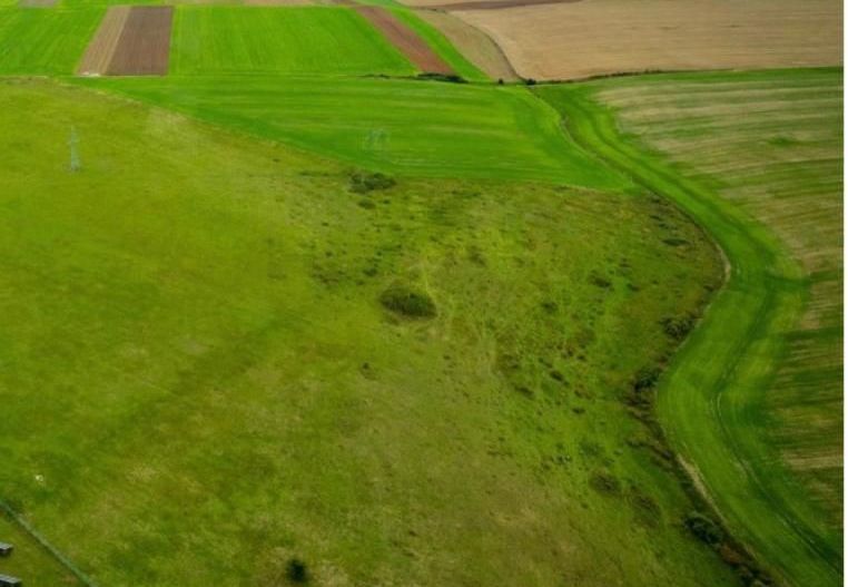 Teren agricol 5ha Giarmata langa Antena Radar - Poză 5